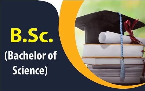 bsc course