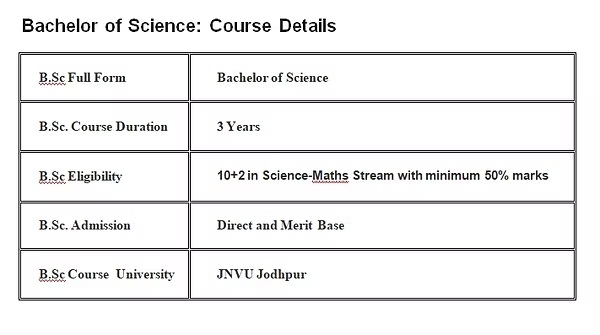 bsc course details